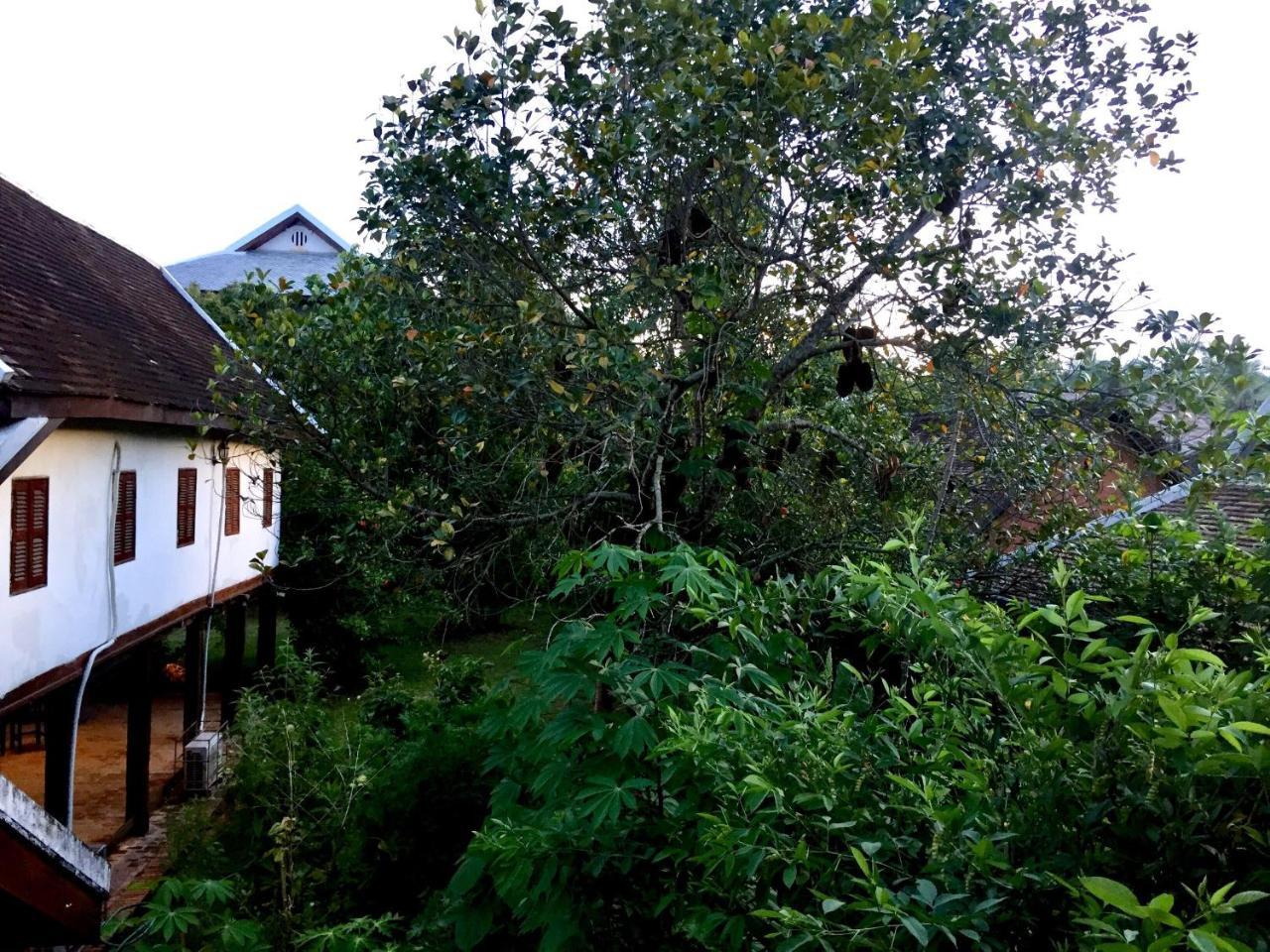 Soutikone1 Guesthouse Luang Prabang Exterior photo